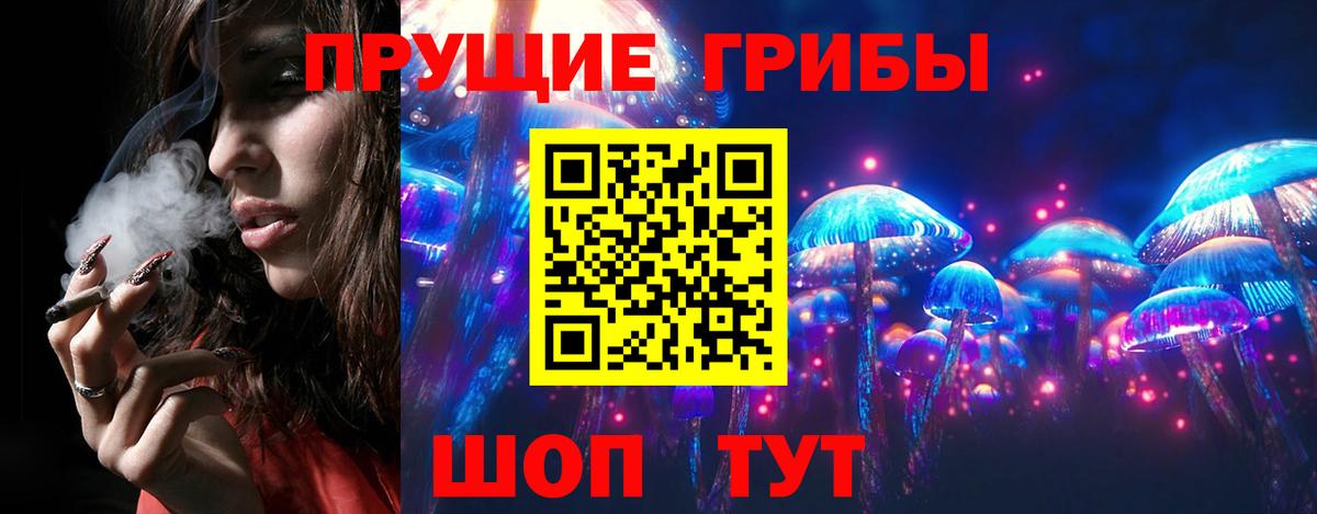 купить наркотики цена  Вход с VPN  Бирск  Галлюциногенные грибы Psilocybine cubensis 